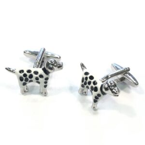 Dalmata
